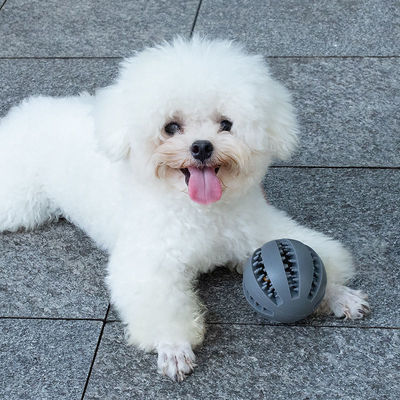 Playing Dog Toys Silicone Ball for Interactive Teeth Cleaning and Leak Food Dispensing