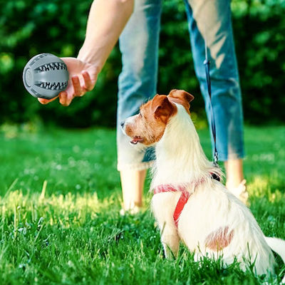 Playing Dog Toys Silicone Ball for Interactive Teeth Cleaning and Leak Food Dispensing
