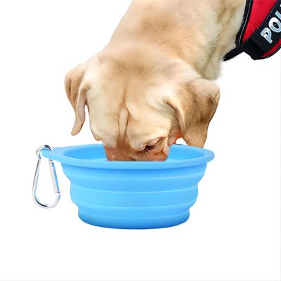 Travel-Friendly Silicone Pet Bowl for Slow Food and Drinking Water on Outdoor Adventures