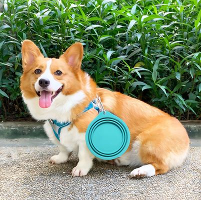 Travel-Friendly Silicone Pet Bowl for Slow Food and Drinking Water on Outdoor Adventures