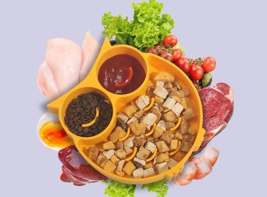 Cat Lick Mat Suction Cup Pet Slow Feeding Bowl for Anti-Choking and Fixed Position