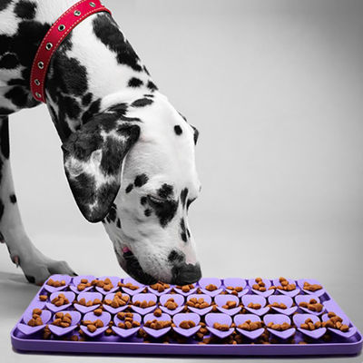Silicone Slow Feeders Snuffle Mat First Sample for Free Temperature Resistance -40 to 250